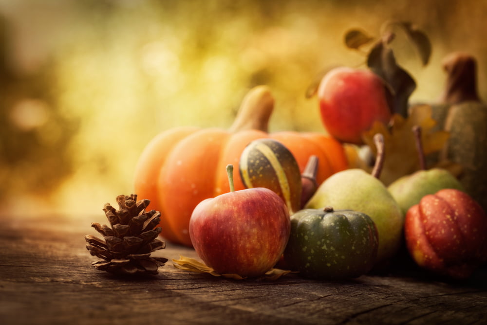 Celebrate Thanksgiving with these Thinksgiving Tips