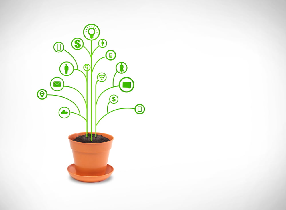 4 Ways to Grow Your Business