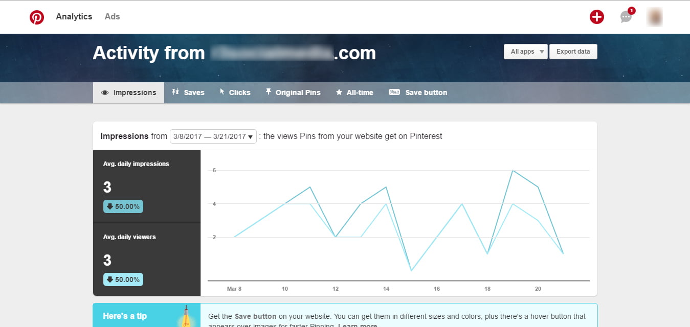 Pinterest Activity From Website Report