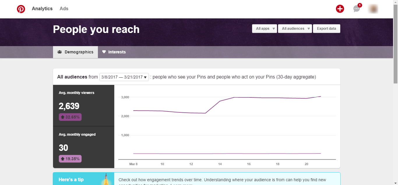 Pinterest People You Reach Demographics Report1