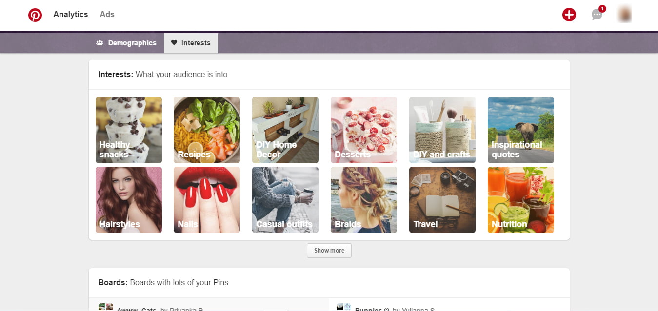 Pinterest People You Reach Interests Report