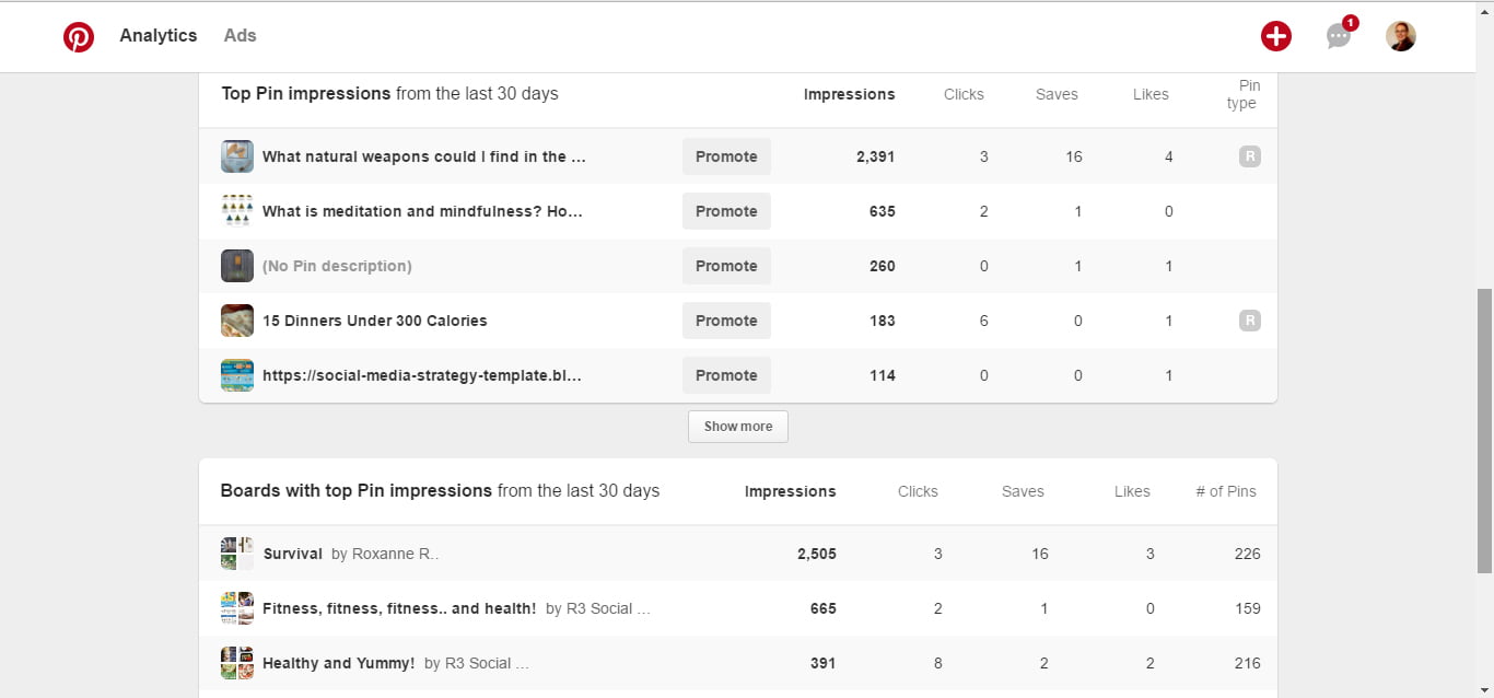 Pinterest Profile Impressions Report